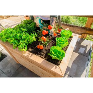Produktbild für Hochbeet Westmann Klassik 100, aus Lärchenholz