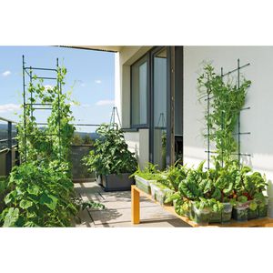 Produktbild für Rankgitter Prosperplast Floo Supports IFLS4, grün, zum Stecken