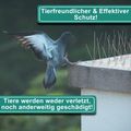 Produktbild in Größe 120