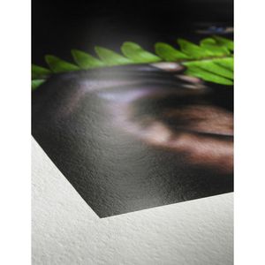Produktbild für Inkjet-Papier Hahnemühle Glossy FineArt, A4