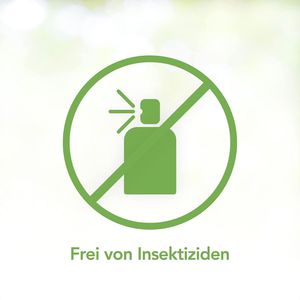 Produktbild für Insektenspray Raid Essentials Eisspray