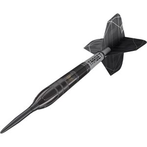 Produktbild für Dartpfeile Target-Darts Nathan Aspinall X Echo Swiss Point