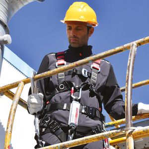 Produktbild für Sicherheitsgurt COFRA EVENSTAD, 3-Punkt-System