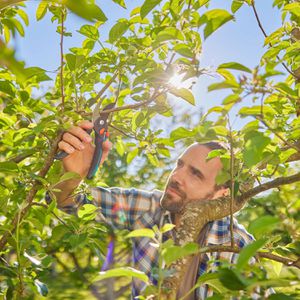 Produktbild für Gartenschere Gardena PremiumCut Pro Flex 12252-20, Bypass