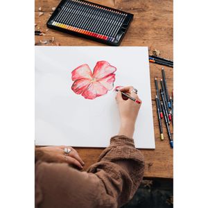 Produktbild für Aquarellstifte Staedtler Mars Lumograph 104 M12