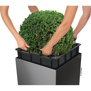 Produktbild für Übertopf Lechuza CUBE 50, anthrazit metallic, 49 x 50 x 49 cm