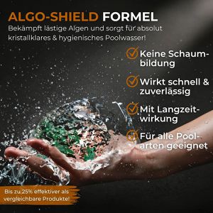 Produktbild für Algizid NASSWERK Algenvernichter mit Algo-Schield Formel