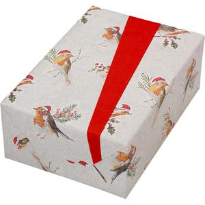 Geschenkpapier Jung-Design Robin