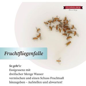 Produktbild für Essigessenz Feinwälder 25% Säure