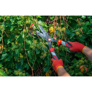 Produktbild für Heckenschere Wolf-Garten HS-CP, 73AHA008650
