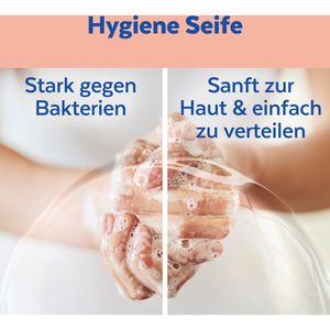 Produktbild für Seife Sagrotan No-Touch Schwarzwald, Sandelholz &amp; Bratapfel