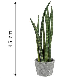 Produktbild für Kunstpflanze Creativ-green Sansevieria
