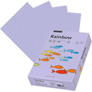 Produktbild für Kopierpapier Papyrus Rainbow 88042568