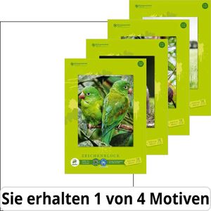 Zeichenblock Staufen Edition Dürer Zeichenblock A3