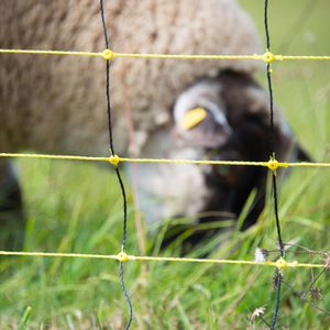 Produktbild für Weidezaunnetz Horizont horinetz super 15465, Schafnetz
