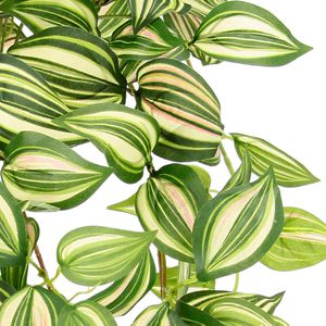 Produktbild für Kunstpflanze I.GE.A. Tradescantia zebrina