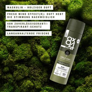 Produktbild für Antitranspirant 8x4 Men Wild Oak