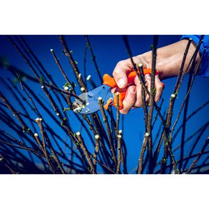 Produktbild für Gartenschere Original-LÖWE 5.107, Amboss