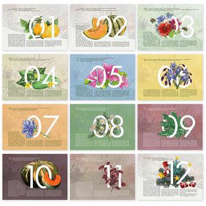 Produktbild für Bildkalender OwnGrown Saatgut Jahreskalender, 2027
