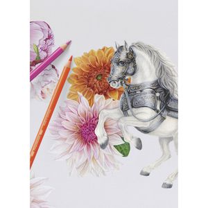 Produktbild für Buntstifte Faber-Castell Polychromos 110014