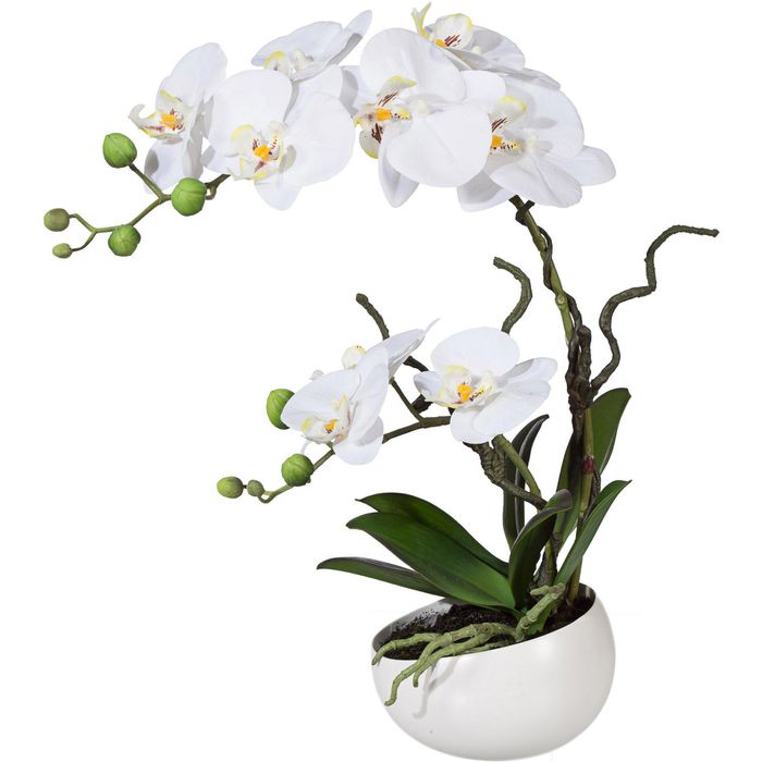 Creativ-green Kunstblume cm Orchidee, Höhe Keramik-Schale, Böttcher weiß, 42 Phalaenopsis, in AG –