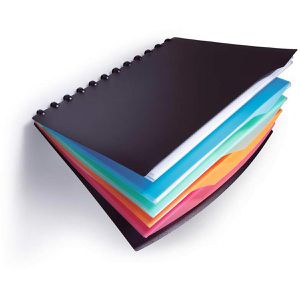 Produktbild für Sichtbuch Durable 2435-01, Duralook Style, aus PP, A4