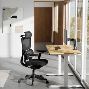 Produktbild für Bürostuhl FlexiSpot C7B-Max
