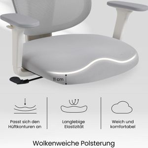 Produktbild für Bürostuhl FlexiSpot BS5WG