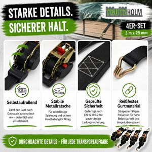 Produktbild für Spanngurt Trutzholm schwarz, mit Spitzhaken &amp; Ratsche