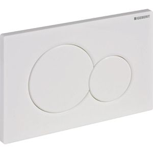 Produktbild für Betätigungsplatte Geberit Sigma01, aus Kunststoff, für WC