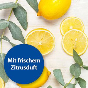 Produktbild für Allzweckreiniger Bactazol Universalreiniger