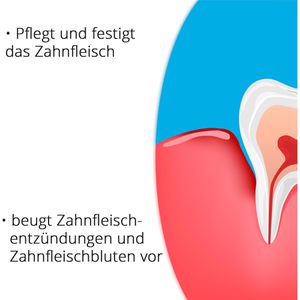 Produktbild für Zahnpasta LACALUT aktiv Zahnfleischschutz &amp;