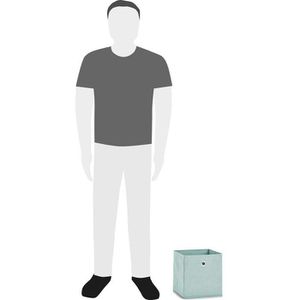 Produktbild für Aufbewahrungskorb Zeller 14421, 21L