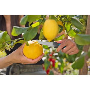 Produktbild für Gartenmesser Gardena VeggieCut, 12211-20, Erntemesser