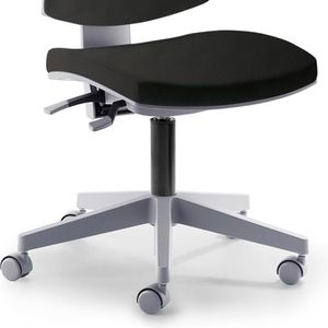 Produktbild für Bürostuhl Mayer myFLEXO, 2432 SO