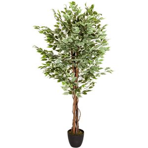 Kunstpflanze hJh-OFFICE Ficus