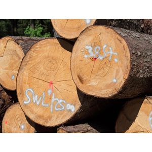 Produktbild für Markierungsspray Stanger Forst-Markierer, weiß