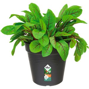 Produktbild für Pflanztopf elho Green Basics, 3 Liter