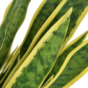 Produktbild für Kunstpflanze vidaXL Sansevieria Bogenhanf