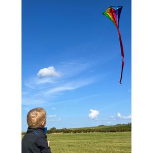 Produktbild für Lenkdrachen Günther 1119 Classic