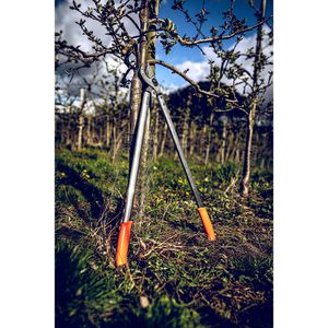 Produktbild für Astschere Original-LÖWE 22.080
