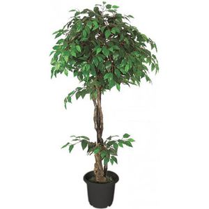 Kunstpflanze Decovego Ficus Benjamin