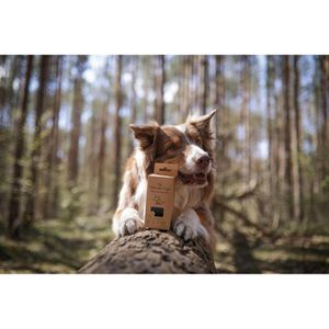 Produktbild für Hundekotbeutel TSP 2060, biologisch abbaubar