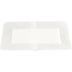 Produktbild für Pflaster Holthaus Ypsipor, 10 Strips