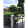 Produktbild in Größe 120