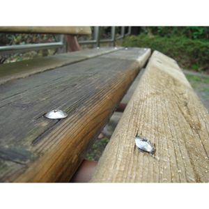 Produktbild für Steinimprägnierung ILKA Siloxan, ca. 100m²