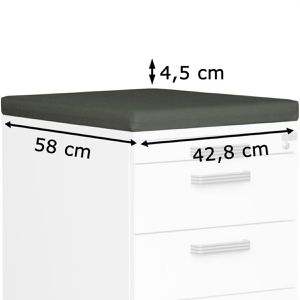 Produktbild für Rollcontainer-Sitzauflage Hammerbacher ACSK, aus Polyester