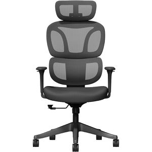 Produktbild für Bürostuhl FlexiSpot BS5B