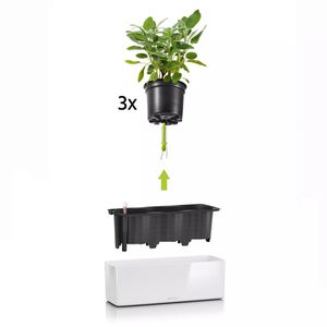 Produktbild für Übertopf Lechuza CUBE Glossy Triple, weiß hochglanz,40x14x14cm