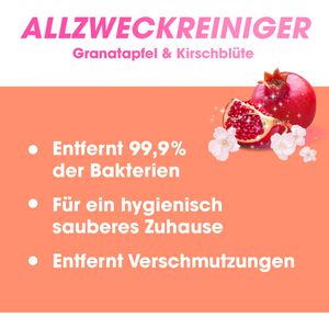 Produktbild für Allzweckreiniger Sagrotan Blütenfrische